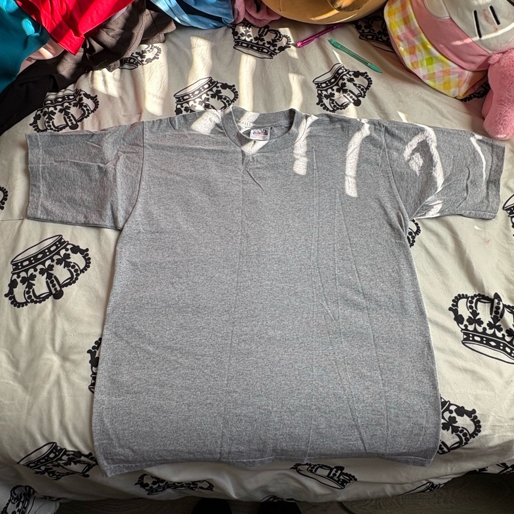 Gray Hanes T-Shirt